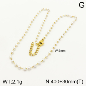 2N3001804vbll-641  Stainless Steel Necklace