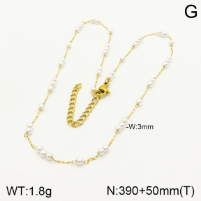 2N3001805vbll-641  Stainless Steel Necklace