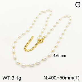 2N3001807vbll-641  Stainless Steel Necklace