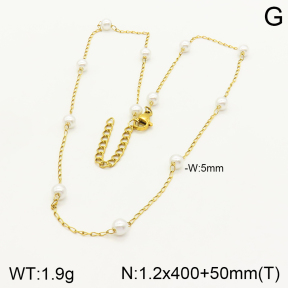 2N3001810vbll-641  Stainless Steel Necklace