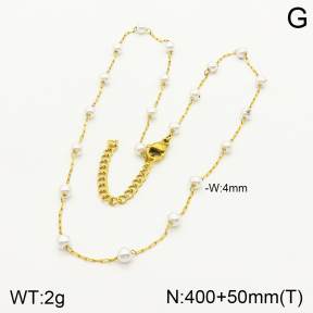 2N3001812vbll-641  Stainless Steel Necklace