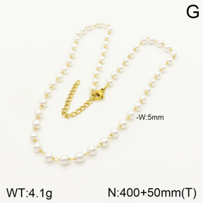 2N3001813vbll-641  Stainless Steel Necklace