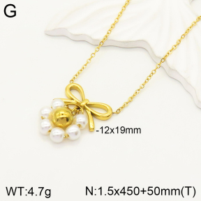 2N3001826vbnl-434  Stainless Steel Necklace