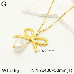 2N3001828bbml-434  Stainless Steel Necklace