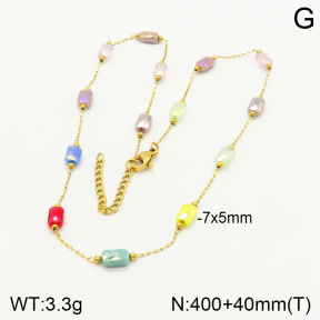 2N4003000bvpl-641  Stainless Steel Necklace