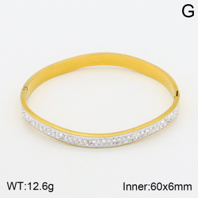 2BA401568bbov-377  Stainless Steel Bangle