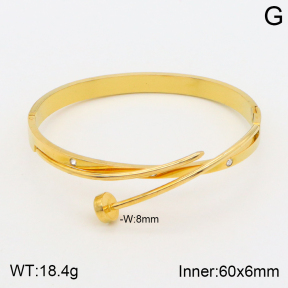 2BA401569bhva-377  Stainless Steel Bangle