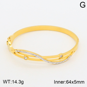 2BA401572vbpb-377  Stainless Steel Bangle