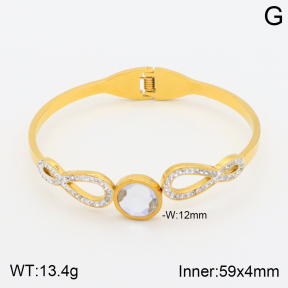 2BA401574vbpb-377  Stainless Steel Bangle