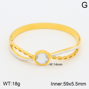 2BA401578bbov-377  Stainless Steel Bangle