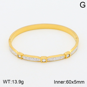 2BA401583bhva-377  Stainless Steel Bangle