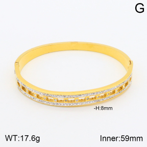 2BA401594vbpb-377  Stainless Steel Bangle