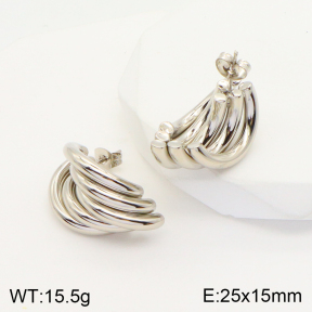 2E2004322aakl-703  Stainless Steel Earrings