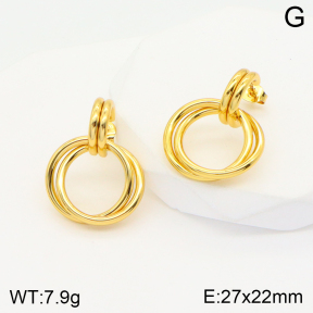 2E2004323aajo-703  Stainless Steel Earrings