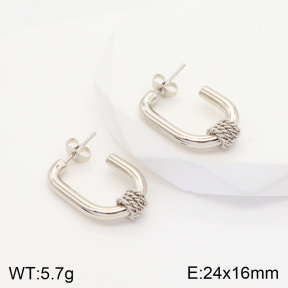 2E2004329aajl-703  Stainless Steel Earrings