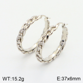 2E2004330aaki-703  Stainless Steel Earrings