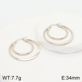 2E2004331avja-703  Stainless Steel Earrings