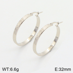 2E2004332aahl-703  Stainless Steel Earrings