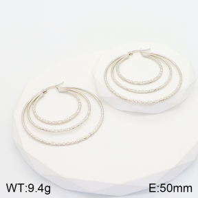 2E2004334aakl-703  Stainless Steel Earrings