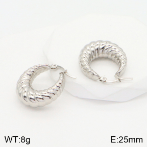 2E2004335bbmo-703  Stainless Steel Earrings