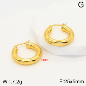 2E2004347aakl-703  Stainless Steel Earrings