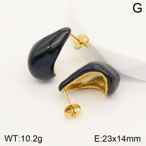 2E3002461vbnl-311  Stainless Steel Earrings