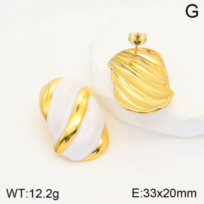 2E3002472bbov-311  Stainless Steel Earrings