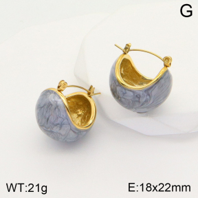 2E3002493vbpb-311  Stainless Steel Earrings