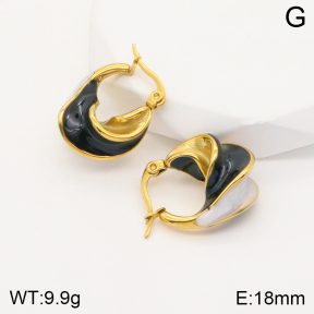 2E3002515bbov-311  Stainless Steel Earrings