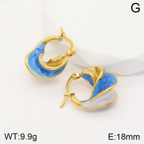 2E3002517bbov-311  Stainless Steel Earrings