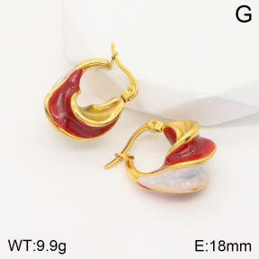 2E3002519bbov-311  Stainless Steel Earrings