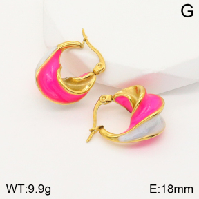 2E3002520bbov-311  Stainless Steel Earrings