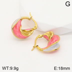 2E3002521bbov-311  Stainless Steel Earrings