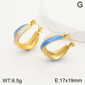 2E3002522bbov-311  Stainless Steel Earrings