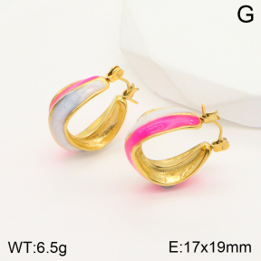 2E3002523bbov-311  Stainless Steel Earrings