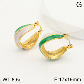 2E3002524bbov-311  Stainless Steel Earrings