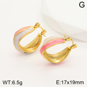 2E3002525bbov-311  Stainless Steel Earrings