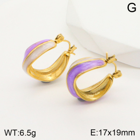 2E3002526bbov-311  Stainless Steel Earrings