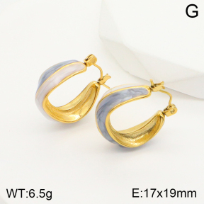 2E3002527bbov-311  Stainless Steel Earrings