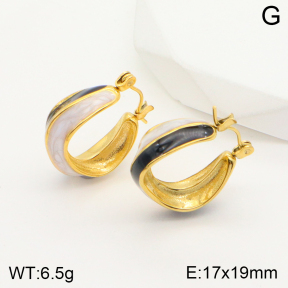 2E3002528bbov-311  Stainless Steel Earrings