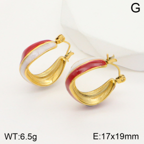 2E3002529bbov-311  Stainless Steel Earrings