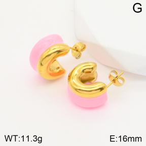 2E3002559vbnb-311  Stainless Steel Earrings