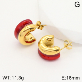 2E3002560vbnb-311  Stainless Steel Earrings