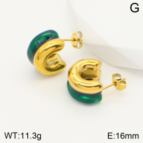 2E3002561vbnb-311  Stainless Steel Earrings