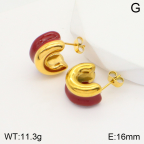 2E3002566vbnb-311  Stainless Steel Earrings