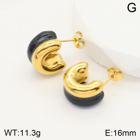 2E3002567vbnb-311  Stainless Steel Earrings