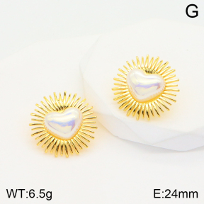 2E3002578bbov-703  Stainless Steel Earrings