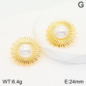 2E3002579bbov-703  Stainless Steel Earrings