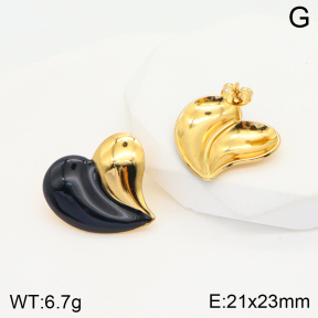 2E3002582aakl-703  Stainless Steel Earrings