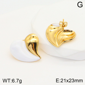 2E3002583aakl-703  Stainless Steel Earrings